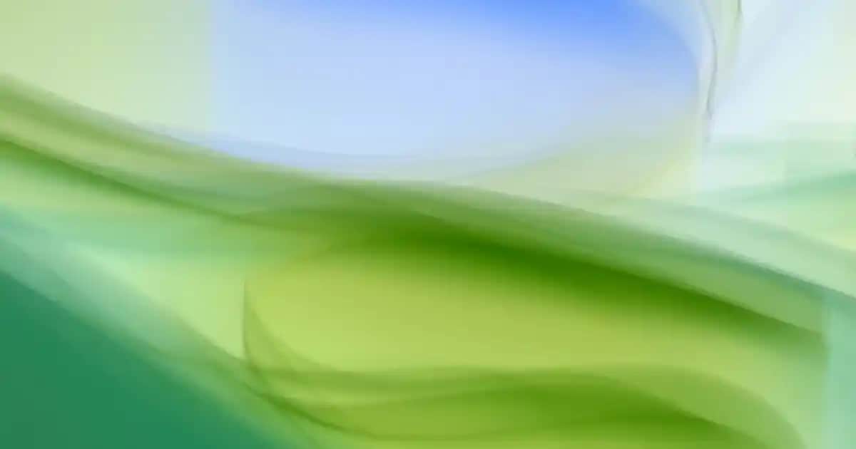 Calendula Yağı ve Krem Balsam ile Doğal ve Güvenilir Cilt Bakımı Çözümleri