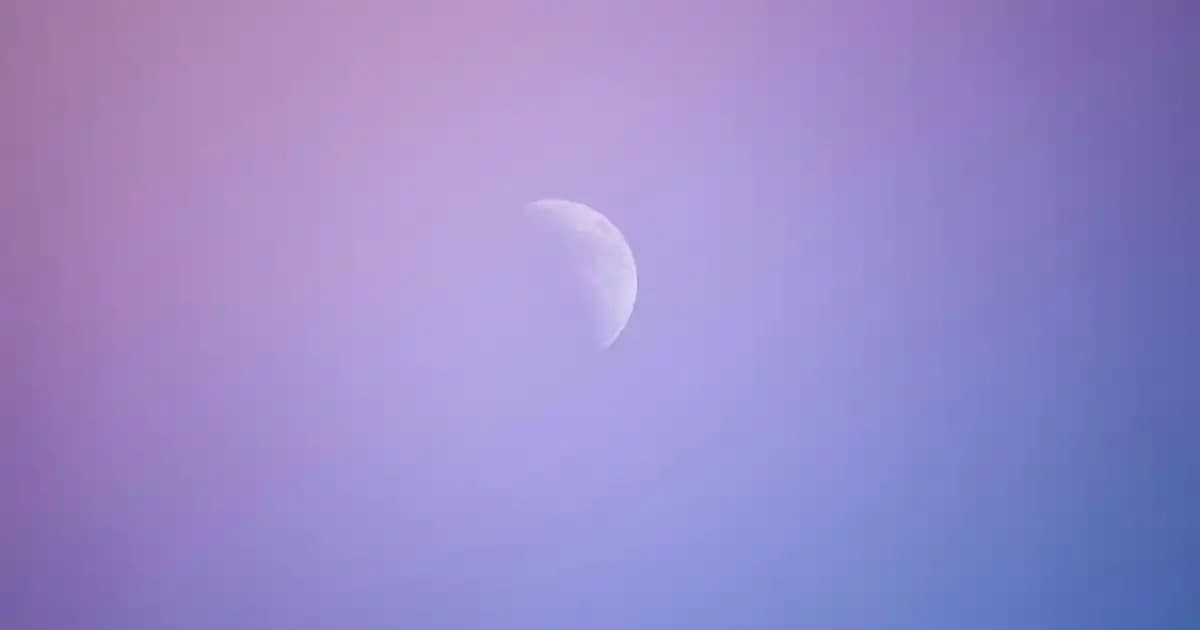 Calvin Klein Contradiction Serisi: Kadın ve Erkekler İçin Zıtlıkları Yansıtan Parfümler