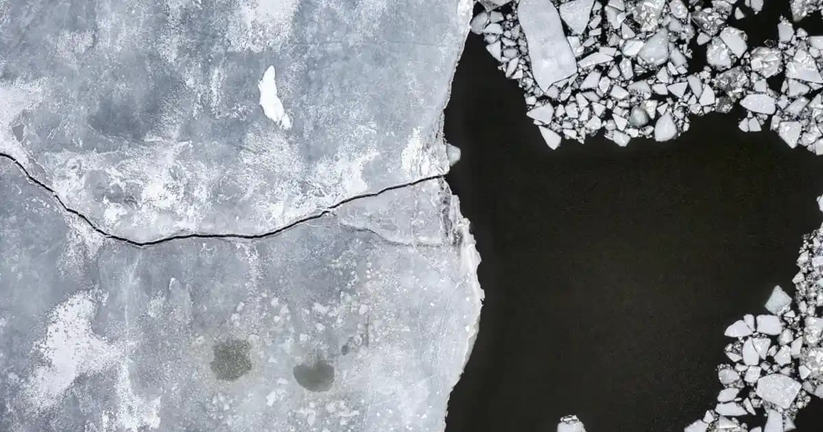 Çatlaklara Karşı En Etkili Doğal Yağlar ve Bakım Yöntemleri