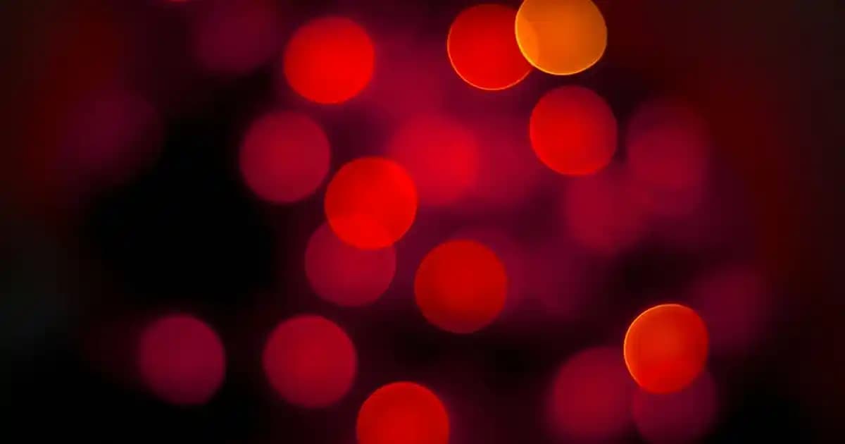 2025'te Çay Ağacı Toniği ile Cildinizde Mucizeler Yaratın