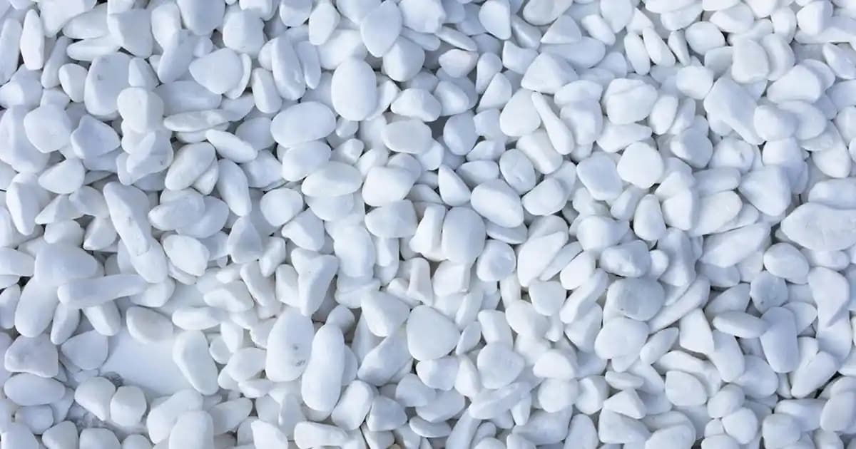 2025'te Cildinizde Devrim: Celenes Sea Buckthorn Yüz Yıkama Jeli ile Tanışın