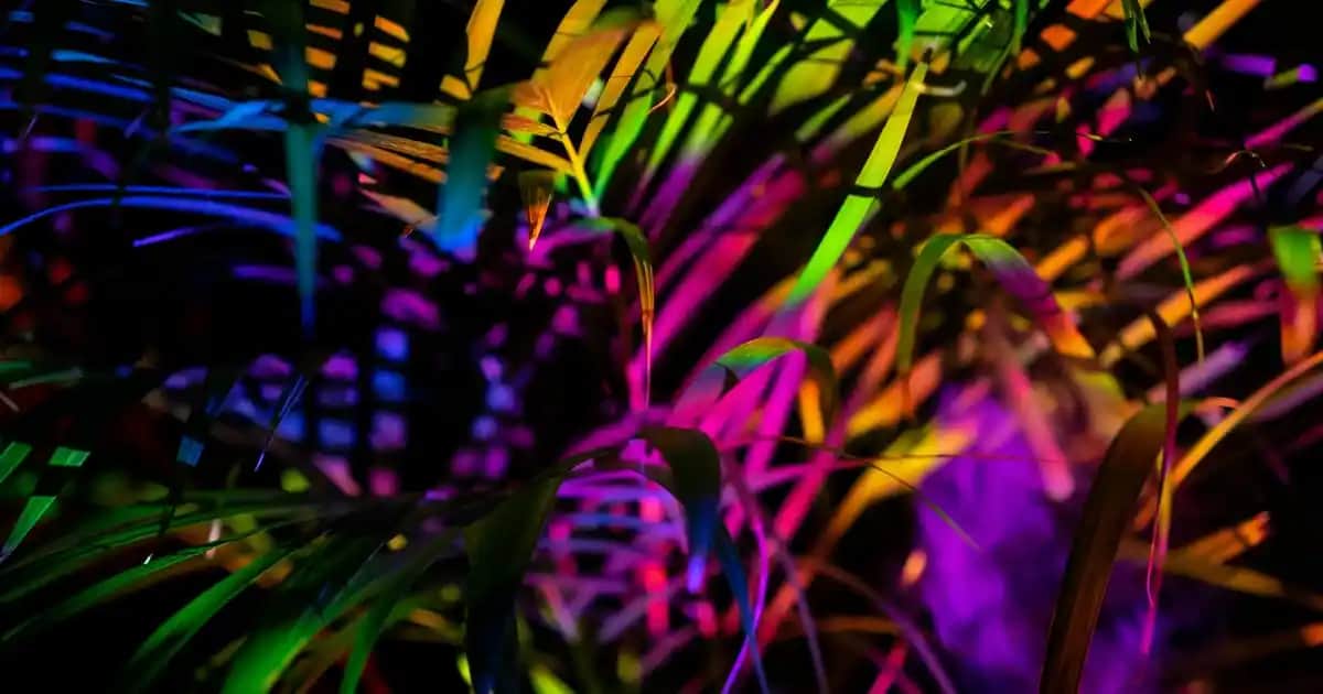 CeraVe ile Güvenilir ve Etkili Cilt Bakımı Çözümleri Ürünleri ve Faydaları