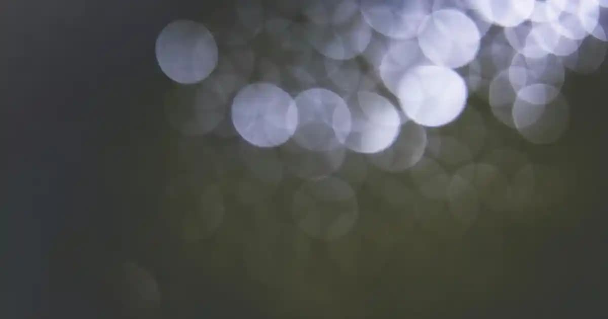 CeraVe Türkiye 2025: Cildinizi Yenilemenin 3 Sırrıyla Tanışın