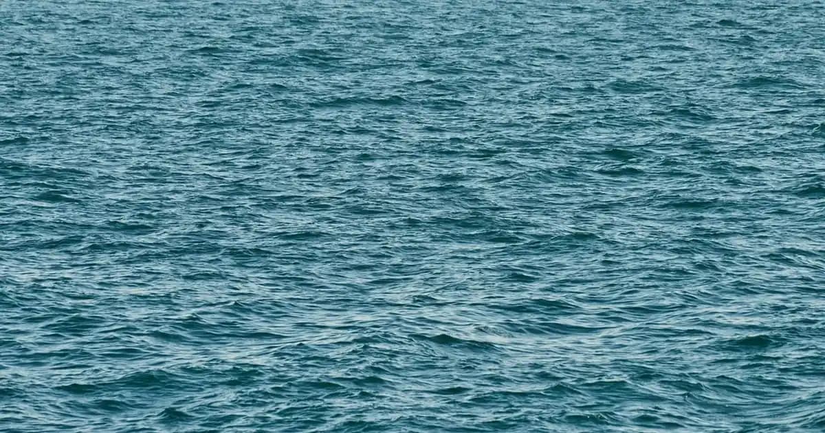 Çikolata Kahve Saç Boyası Rehberi: Doğal ve Kalıcı Renkler İçin Bilmeniz Gerekenler