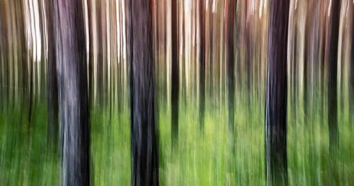 Çilek Bacak Görünümü Nedir, Nedenleri ve Etkili Tedavi Yöntemleri