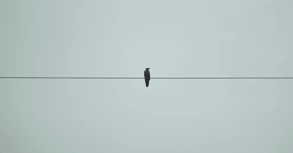 Cilt Bakımında Scrub ve Peeling Kullanımı: Doğru Ürün Seçimi ve Faydaları