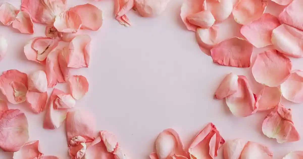 Çinko ve Selenyumun Cilt Sağlığına Etkileri ve Günlük Kullanım İpuçları