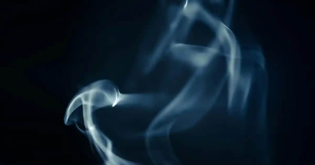 Cire Aseptine Soft Serisi ile Doğal ve Etkili Cilt Bakımı Çözümleri