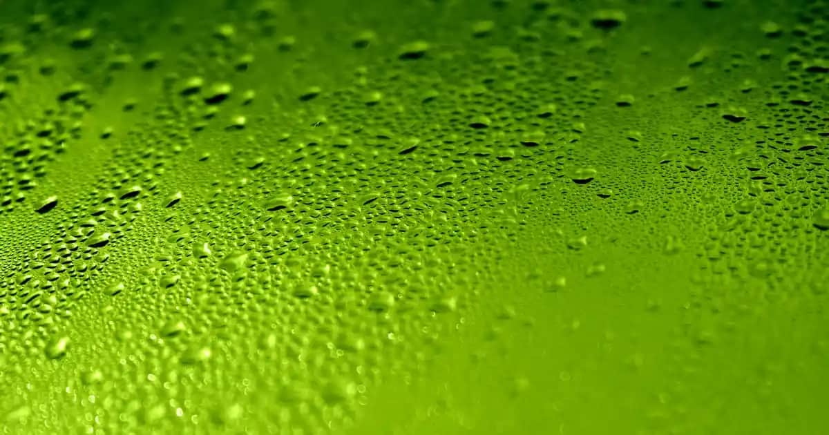 Claderm Kil Maskesi ve C Vitamini ile Sağlıklı ve Parlak Cilt Bakımı Rehberi