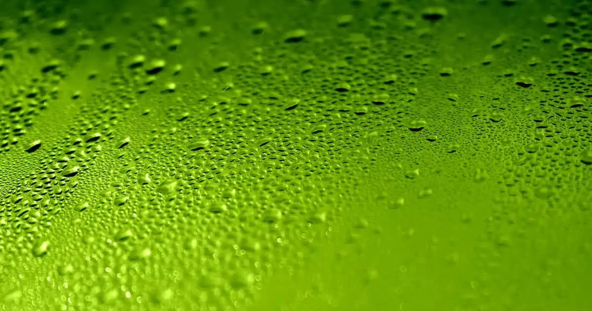 2025'te Cildinizde Devrim Yaratacak Claderm Kil Maskesi ve C Vitamini