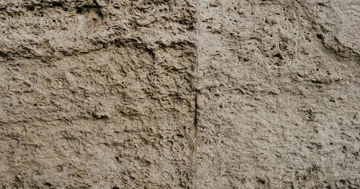 Clinomyn Diş Macunu İncelemesi: Etkinlikleri ve Kozmetik Dünyasındaki Yeri