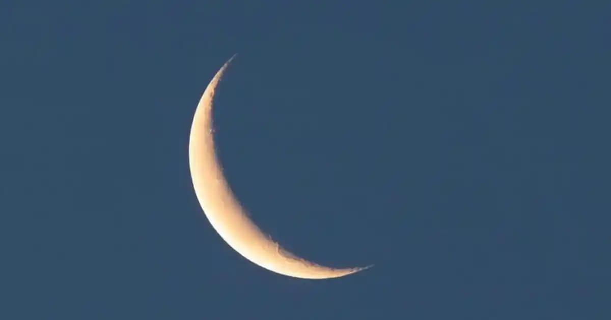 Cool Kestane Saç Boyası ile Doğal ve Parlak Kahverengi Tonlara Ulaşın