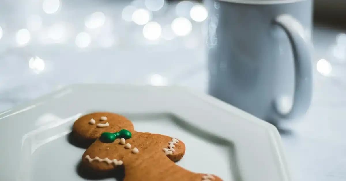 Cream Co: Doğa Dostu ve Temiz İçerikli Cilt Bakım Ürünleri Hakkında Detaylı Bilgi