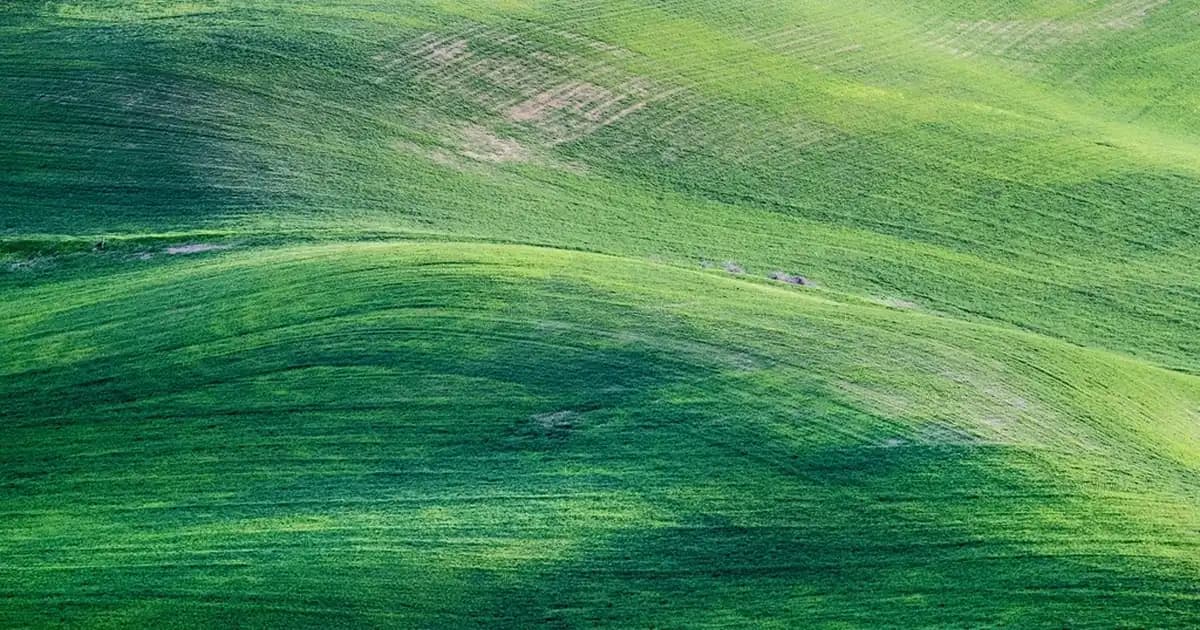 Cruelty-Free Makyaj Markaları: Hayvanlar Üzerinde Deney Yapmayan Güvenilir Seçenekler
