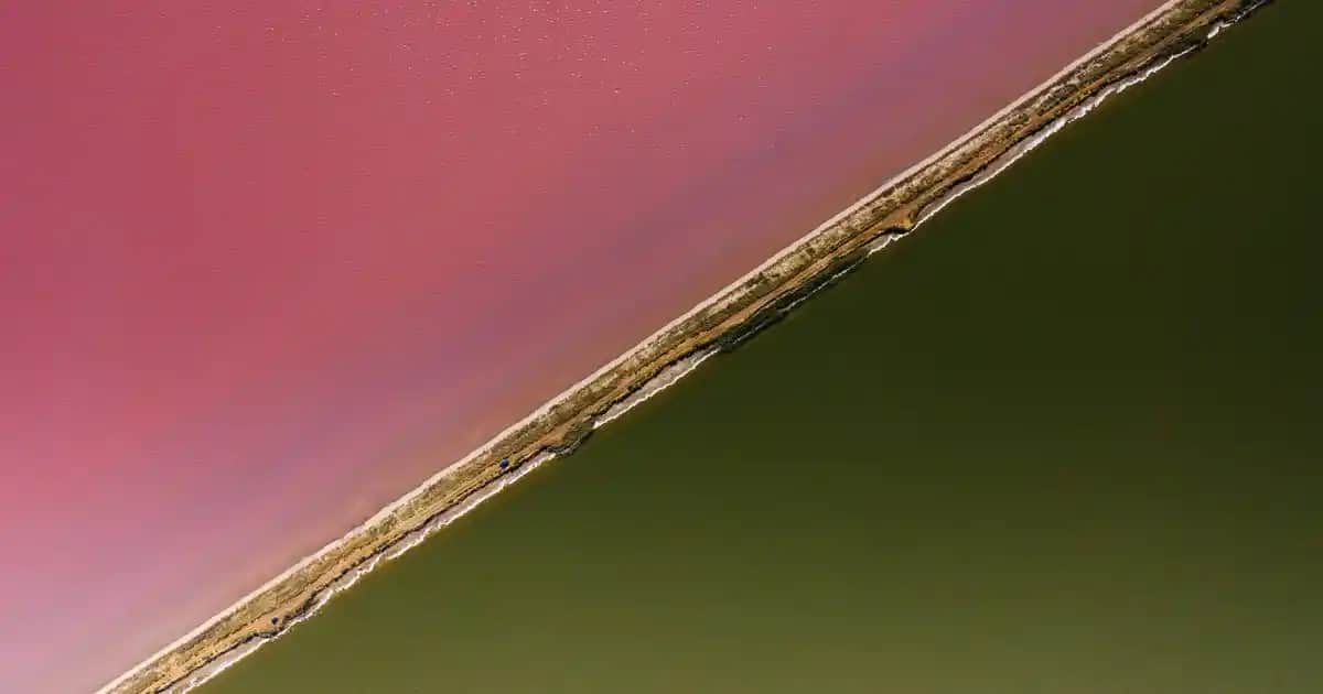 Cystiphane Tablet Nedir, Saç ve Tırnak Sağlığını Nasıl Destekler