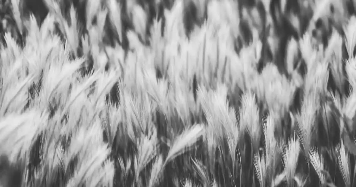 D Vitamini İçeren Kozmetik Ürünler: Cilt Sağlığında Güncel ve Güvenilir Çözümler