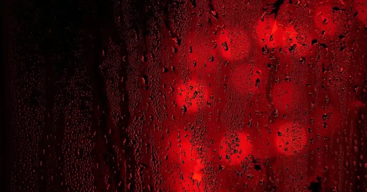 2025'te D3 ve K2 Vitamin Damlası ile Sağlığınızı Güçlendirin