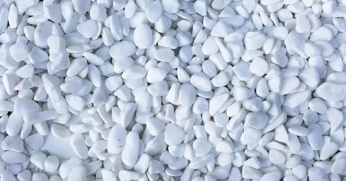 Dalin Bebek Şampuanı 500 ml: Güvenilir ve Hassas Ciltler İçin Uygun Bebek Temizliği