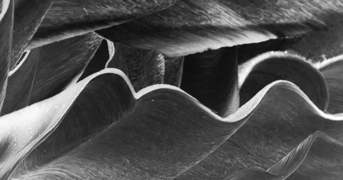 Davines Saç Bakım Ürünleri: Doğal ve Sürdürülebilir Güzellik Çözümleri