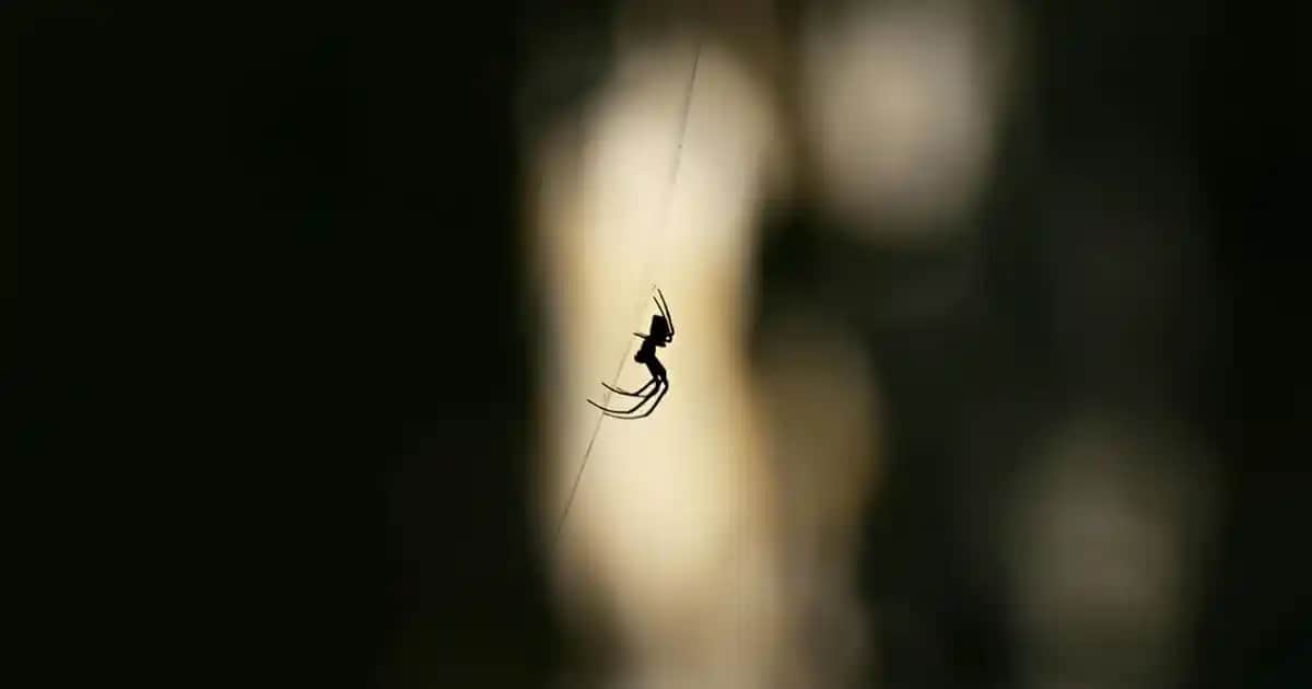 Dercos PSolution ile Saç Derisi Sorunlarına Etkili ve Güvenilir Çözüm Sunan Ürünler