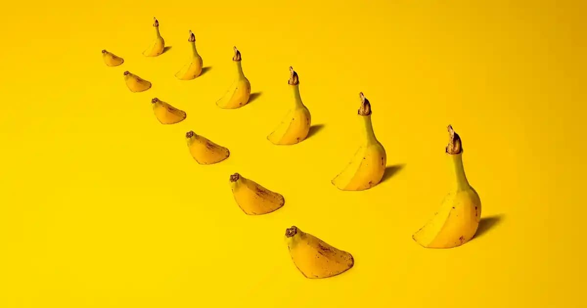 Dermaroller Nedir Cilt Yenileme ve Güzellikte Mikroiğneleme Yöntemi