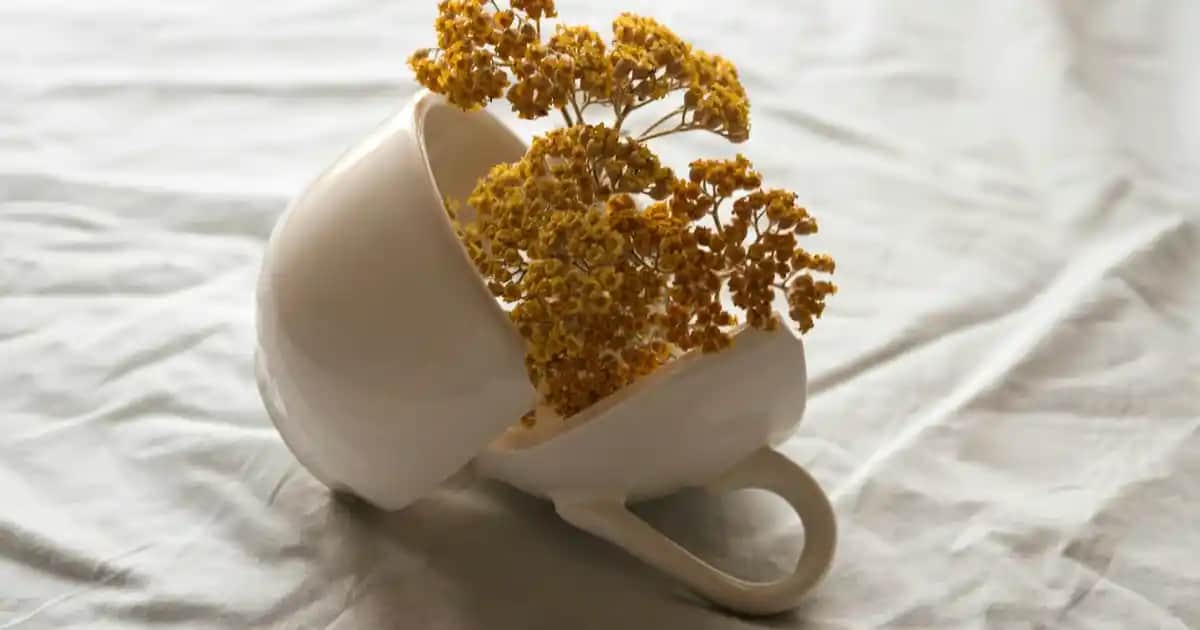 Dermatolojik Güneş Kremleri: Cilt Sağlığını Koruyan Güvenilir Seçenekler