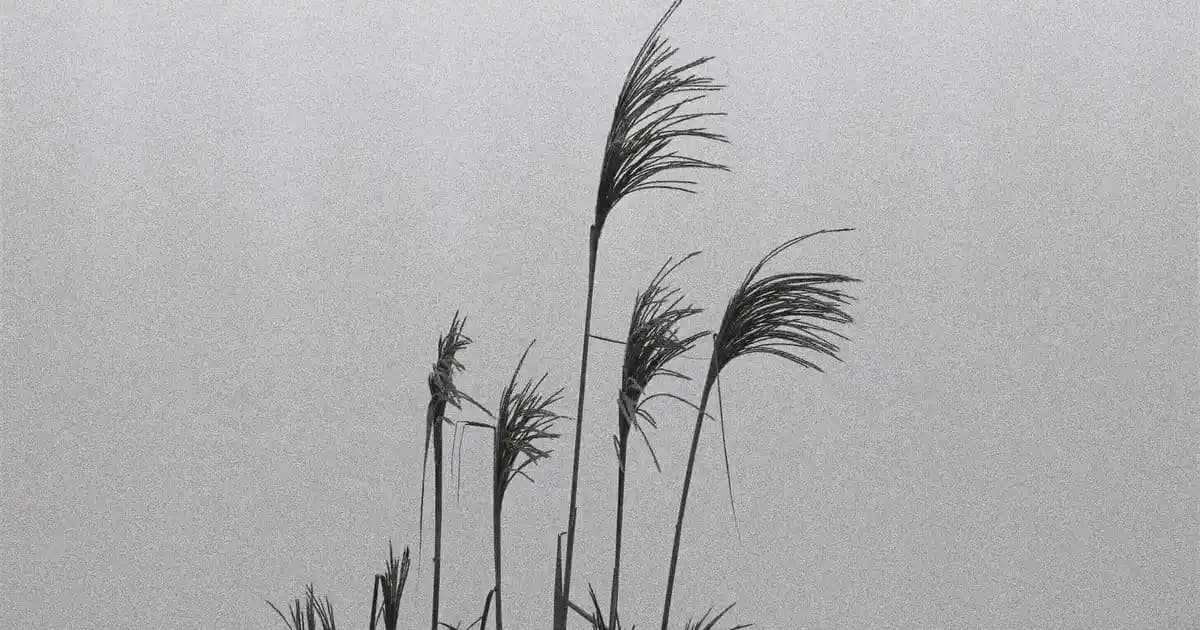 Dermoeczanem Güzellik Kutusu: Cilt Bakımında Güvenilir ve Trendleri Yansıtan Seçenekler