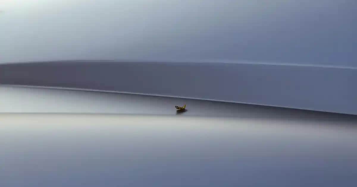 Dermokil Cilt Beyazlatıcı Krem: Doğal İçeriklerle Cilt Tonunu Eşitleyen Çözüm