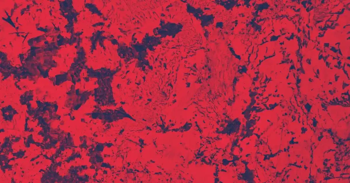 Dermokil: Doğal Minerallerle Zenginleştirilmiş Güvenilir Cilt Bakım Ürünleri