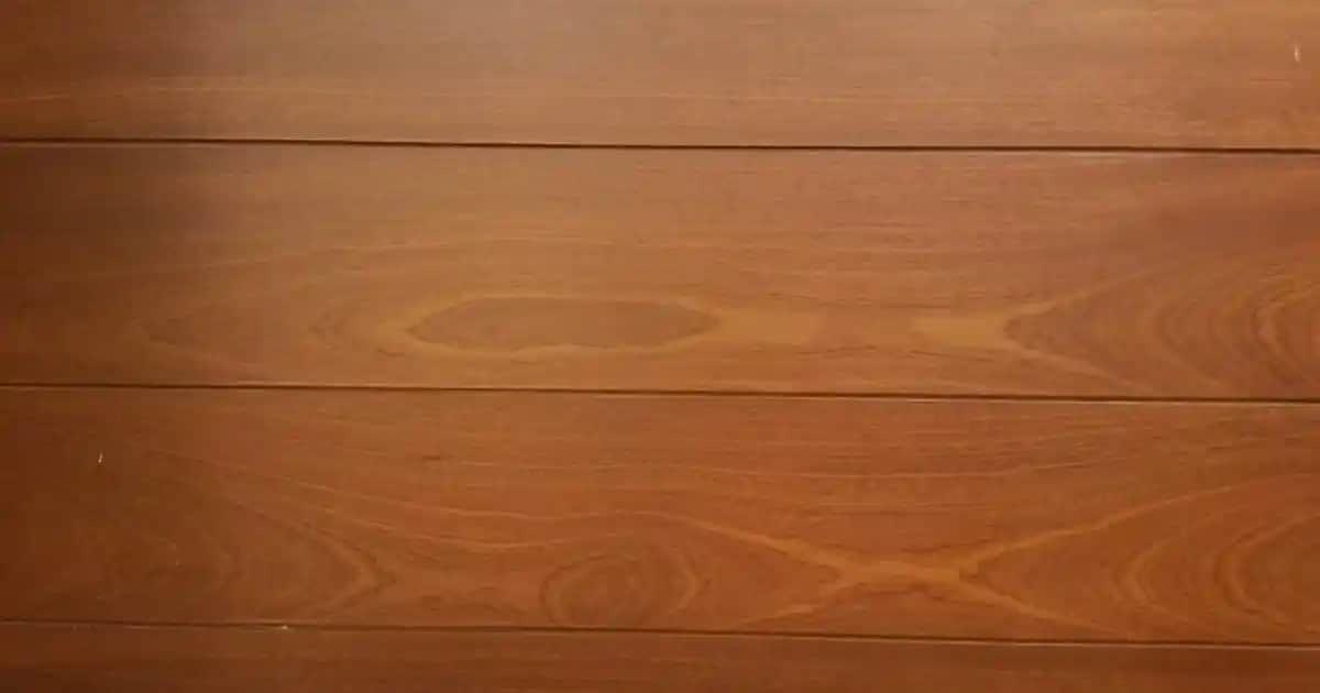 Dermoskin Babycare Güneş Kremi Bebek ve Çocuklar İçin Güvenilir Koruma Sağlar