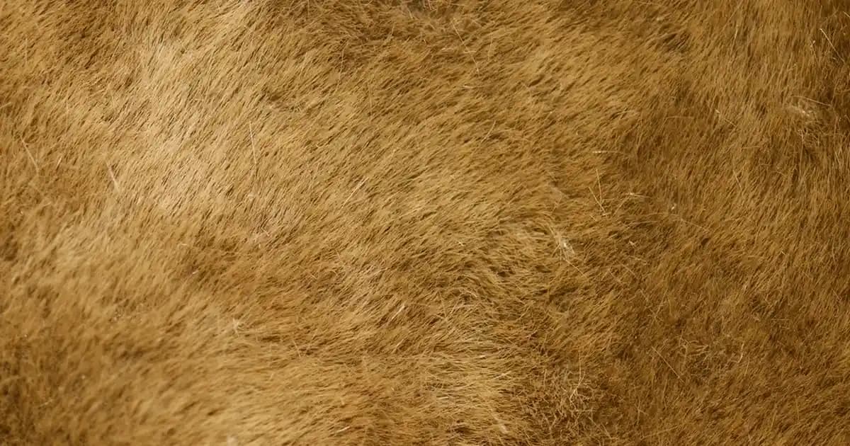 Desenli Eyeliner Trendleri ve Uygulama İpuçlarıyla Gözlerinize Yaratıcılık Katın