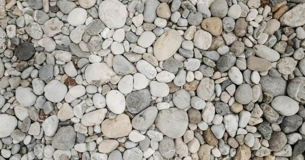 Dil Macunu Kullanımı ve Ağız Sağlığında Etkili Temizlik Çözümleri