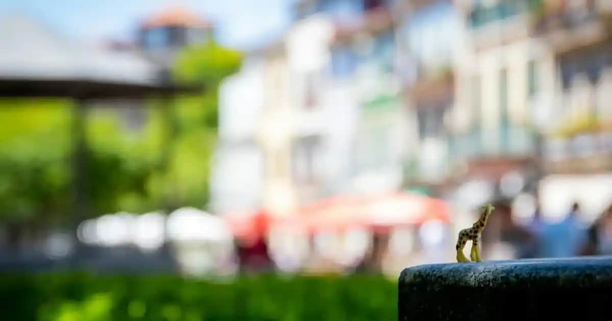 Dior Sauvage Kutusu ve Tasarımı: Estetik ve Fonksiyonellikte Modern Çözümler