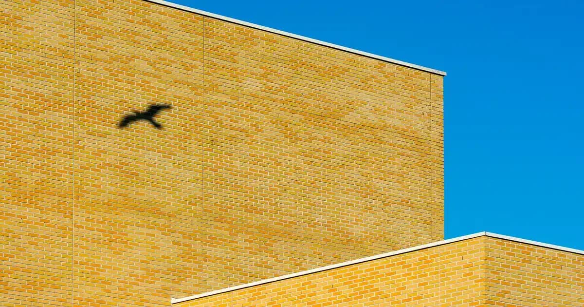 Doğal ve Güçlendirici Kirpik Yağlarıyla Sağlıklı ve Uzun Kirpikler