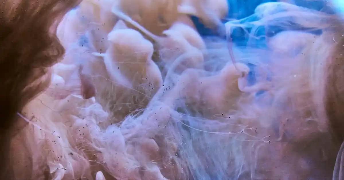 Doğal ve Taze Kokulara Sahip Deodorantlar Günlük Bakımda Yeni Trendler