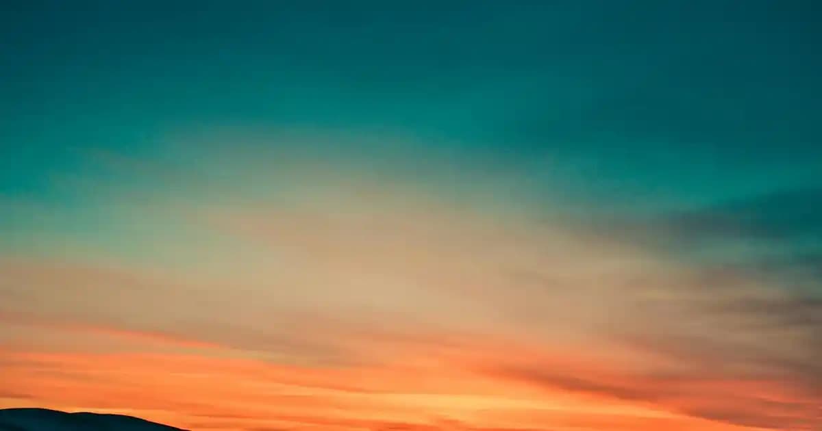 Doğal Yöntemlerle Bukleleri Belirginleştirme ve Saç Sağlığını Koruma Rehberi