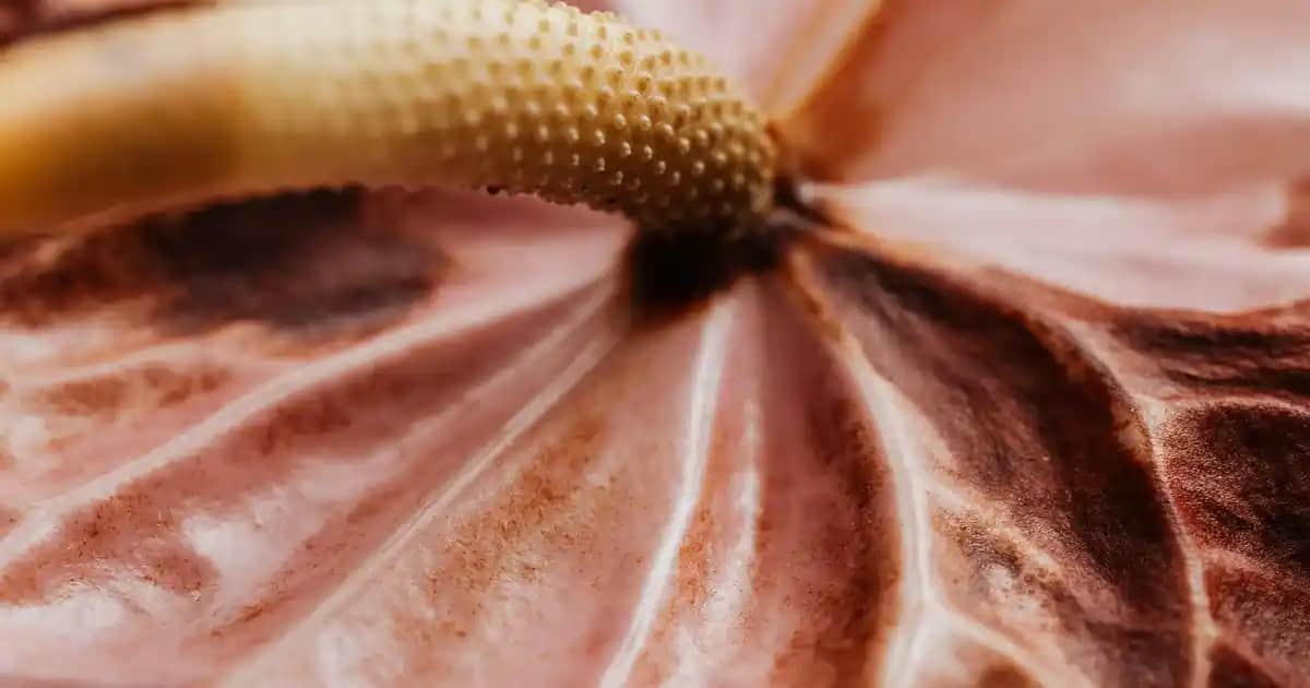Doktorların Önerdiği En İyi Şampuan Markaları ve Saç Sağlığı İpuçları
