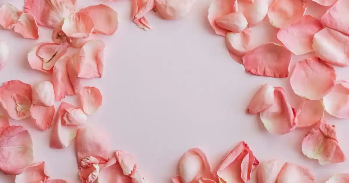 Dolce Gabbana Kadın Parfümleri: Zarafet ve Çekiciliğin En Güçlü Sembolleri