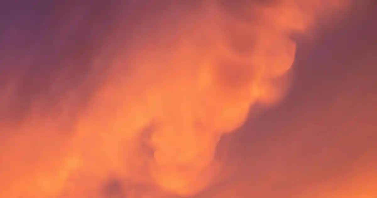 Domol Islak Mendil: Çok Amaçlı ve Çevre Dostu Temizlik Çözümü