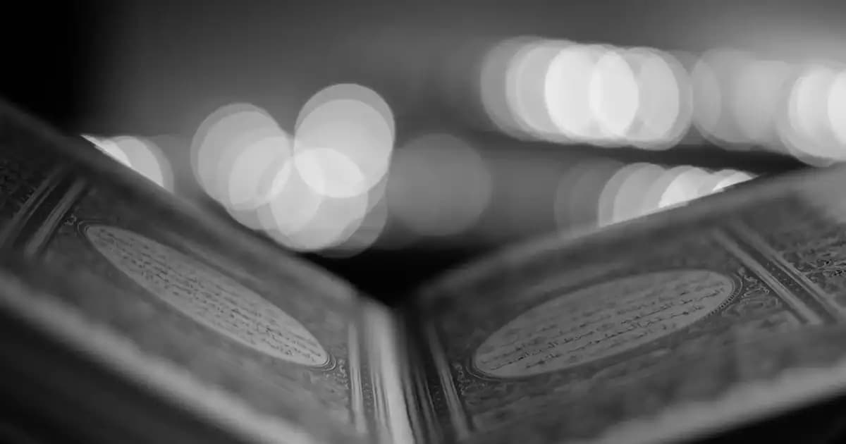 Dove Lotus Çiçeği Serisi: Doğal Güzellik ve Ferahlık Sunan Kozmetik Ürünleri