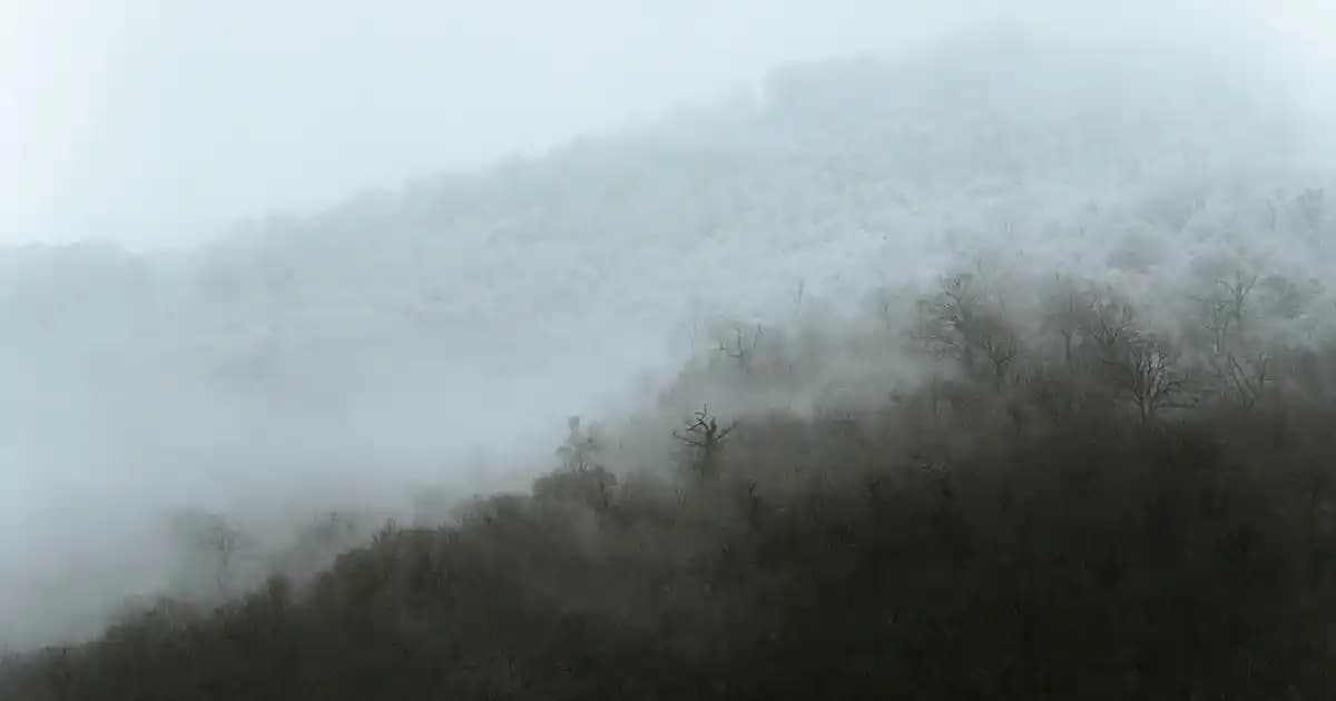 DP G8 Erkek Parfümü: Modern ve Kalıcı Kokularla Kendinizi Öne Çıkarın