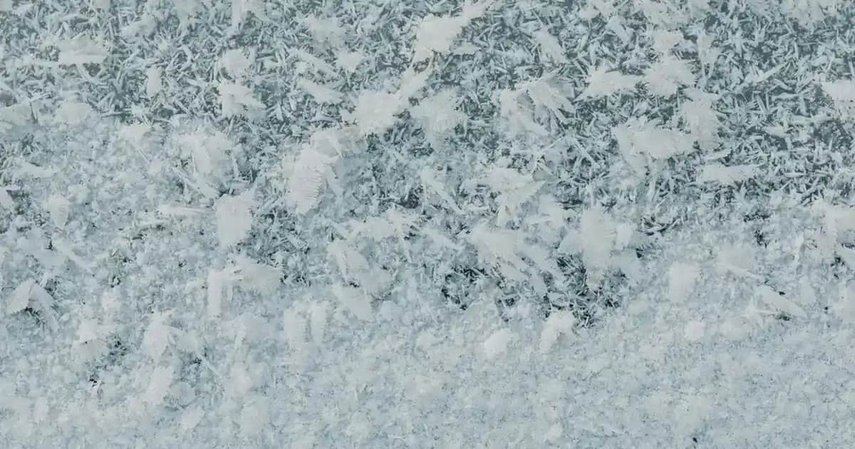 Durex Yakın Hisset XL: Geniş ve İnce Tasarımıyla Duyusal Deneyimi Artıran Prezervatifler