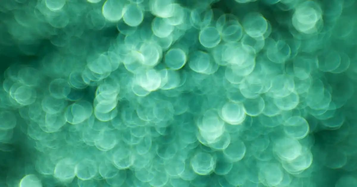 Eczaneden Temin Edilen Güvenilir ve Dermatolog Onaylı Şampuan Seçenekleri