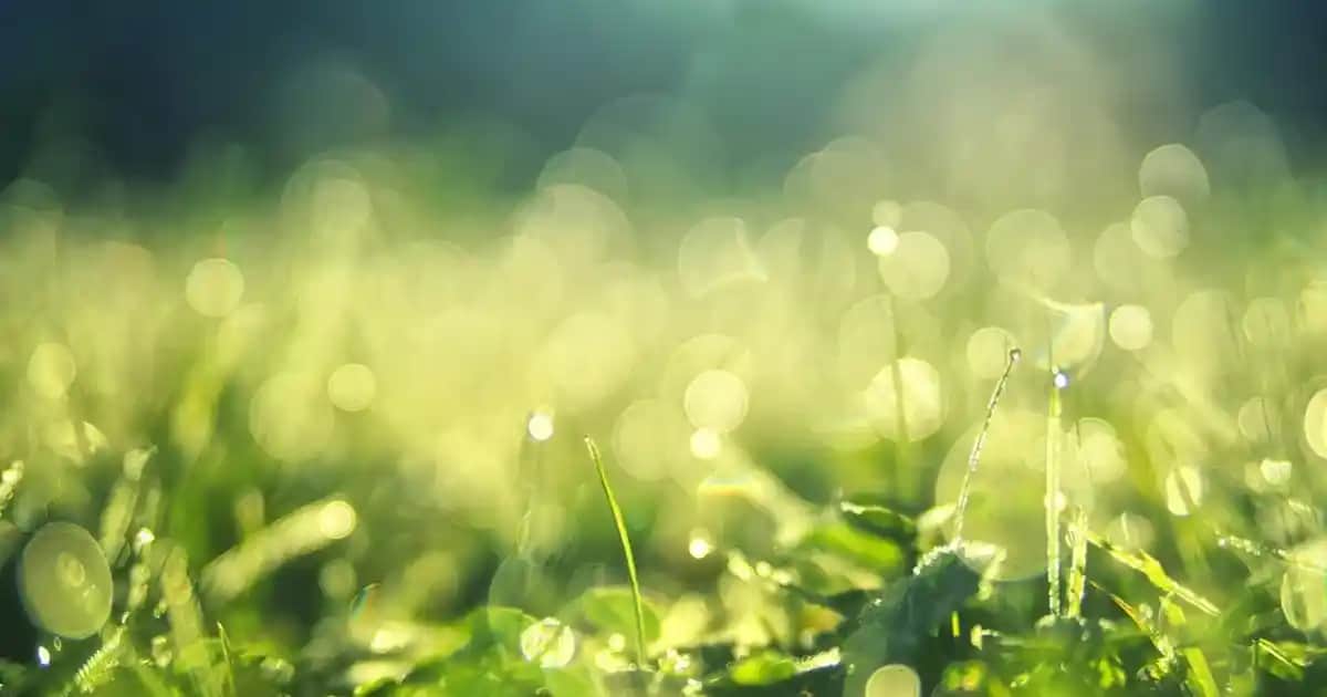 Egzama İçin En Uygun Nemlendirici Seçenekleri ve Cilt Koruma Yöntemleri