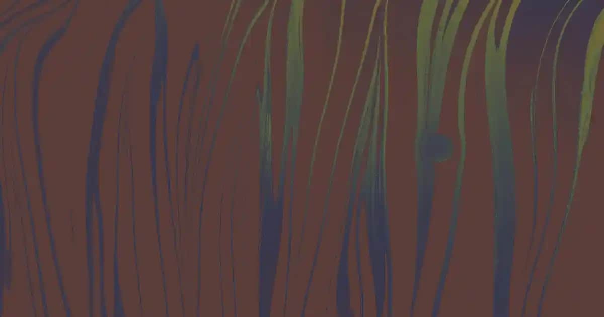 Egzama ve Cilt Sağlığı İçin Doğru Duş Jeli Seçimi ve Bakım Yöntemleri