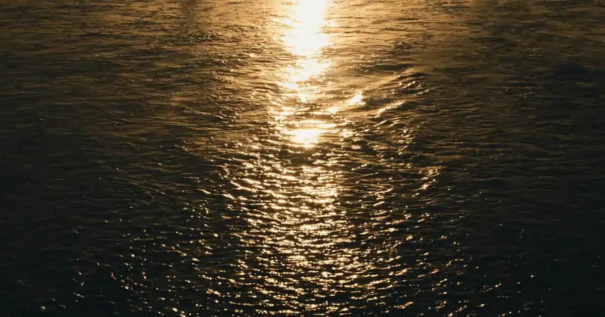 Elseve Extraordinary Oil: Çok Yönlü Saç Bakımında Doğal ve Etkili Çözüm