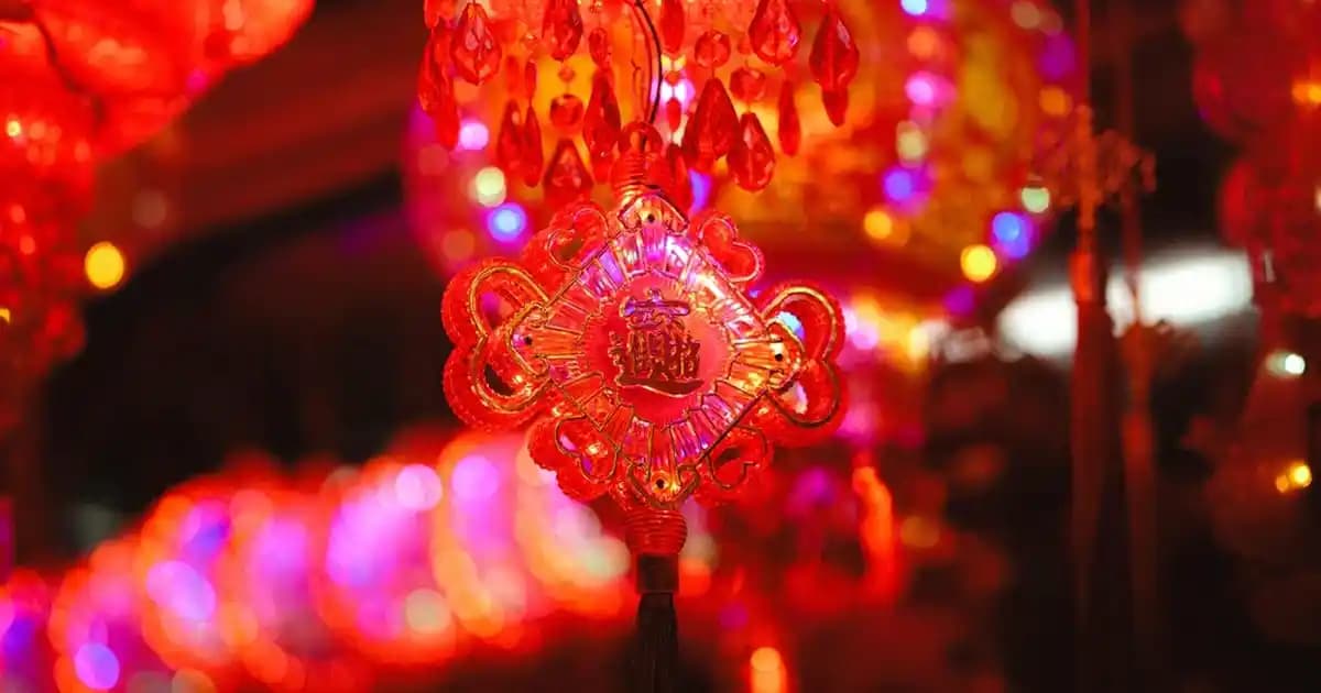 Elseve Hindistan Cevizi Saç Kremi: Doğal ve Hafif Saçlar İçin Güçlü Bir Bakım Seçeneği