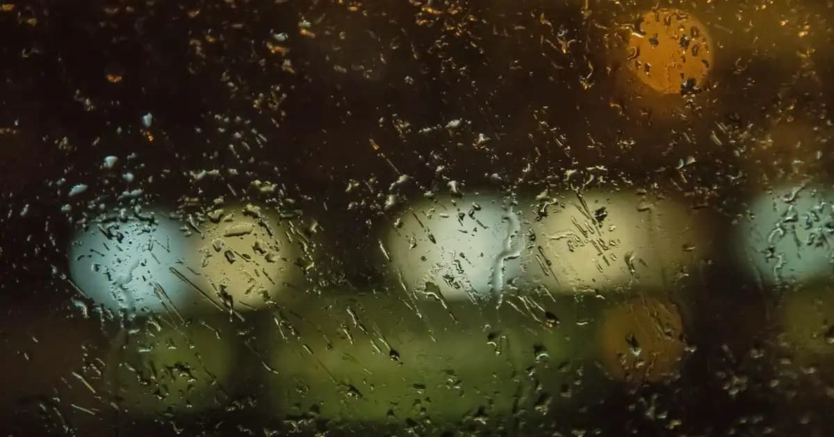 Elseve Saç Kremi Nedir, Hangi Amaçlarla Kullanılır ve Saç Bakımında Neden Tercih Edilmeli?