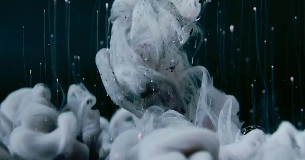 Elvive 8 Second Wonder Water ile Saçlarınızda Hızlı ve Etkili Dönüşüm Sağlayın