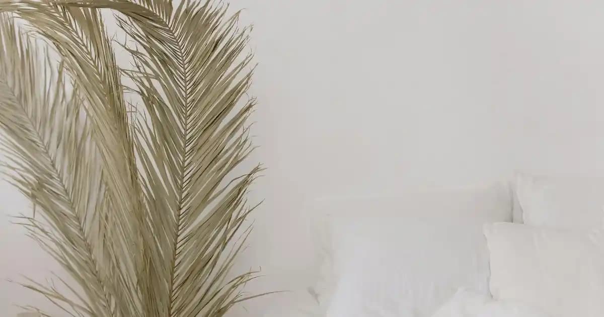 Emollient Nedir ve Cilt Sağlığında Oynadığı Rol Hakkında Detaylı Bilgi